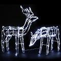 2-Piece Solar 3D Christmas Reindeer Family LED Motif Display - Main Studio Product View - Jolly Wonderland Australia