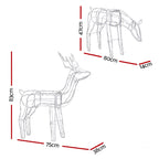 2-Piece Solar 3D Christmas Reindeer Family LED Motif Display - Illuminated Night-Time Outdoor Display View