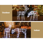 2-Piece Solar 3D Christmas Reindeer Family LED Motif Display - Close-Up Weatherproof & LED Detail