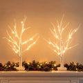 2-Pack 60cm Pre-Lit Warm White LED Birch Twig Branch Trees (48 LEDs) - Front Main Product View | Jolly Wonderland Australia